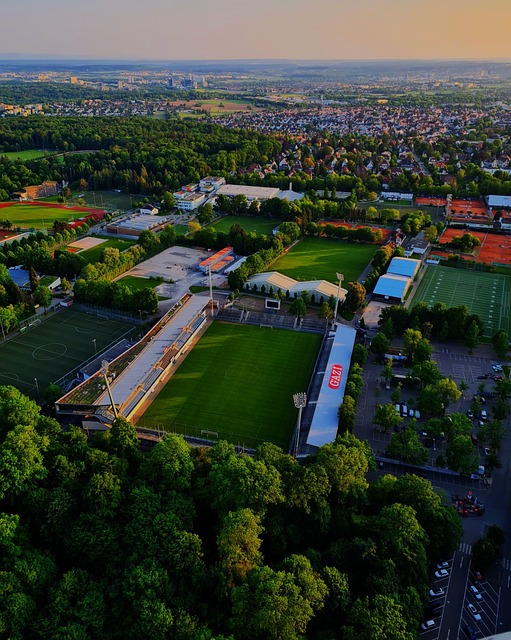 黎而不是巴 黎而不是巴