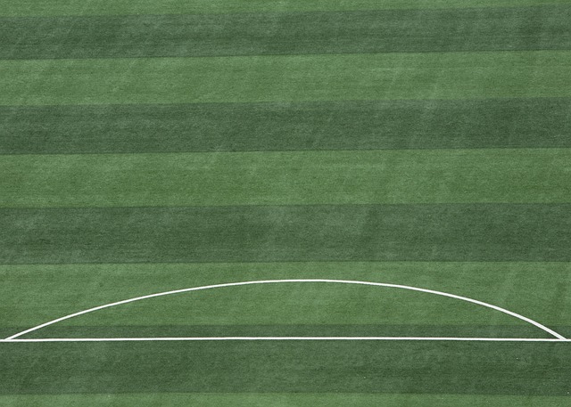 次证明了自 次证明了自