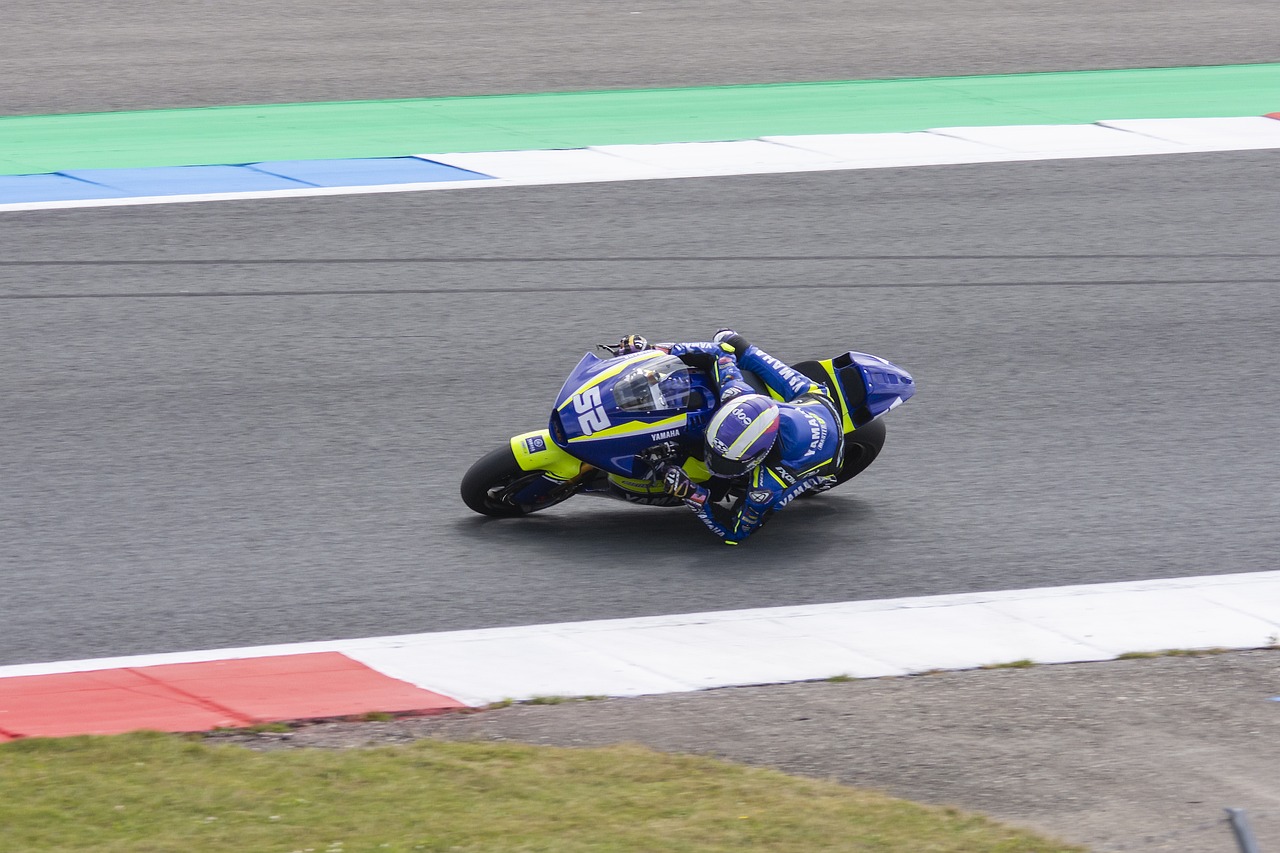 人才的多样 人才的多样